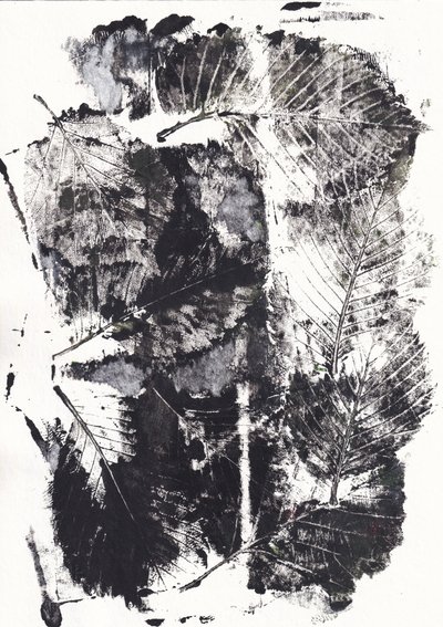 Monochrome botanische impressies door Maira Ribena