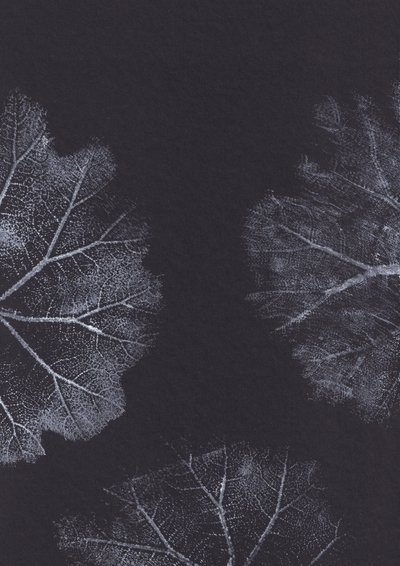 Monochrome bladtexturen door Maira Ribena
