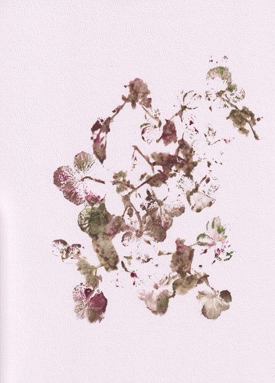 Ingetogen botanische motieven door Maira Ribena