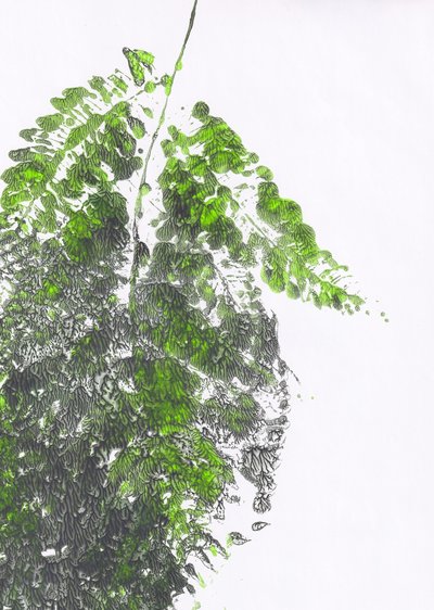 Biologische groene varen door Maira Ribena