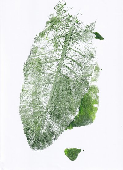 Biologische bladprint door Maira Ribena