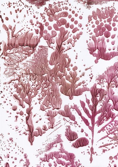 Organische Maroon Flow door Maira Ribena