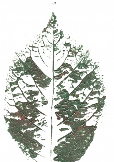 Groen blad met structuur door Maira Ribena