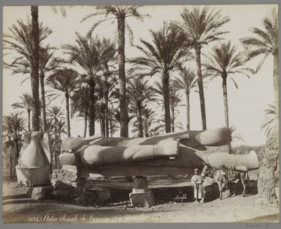 Liggend beeld van Ramses II in Memphis, op de voorgrond een jongen met een ezel door Maison Bonfils