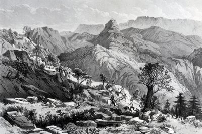 Op mars nabij Dongolo, gegraveerd door James Ferguson, 1868 door Major A.G.F. Hogg