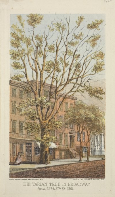 De Varian Boom in Broadway, tussen 26e en 27e Straat, 1864 door Major and Knapp
