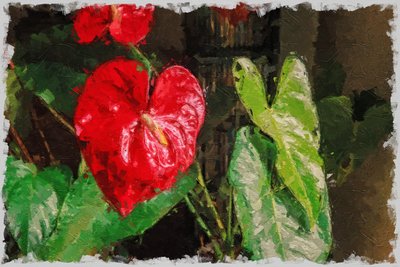 Een groot, rood hartvormig anthurium voor Valentijnsdag door Mano Chandra Dhas