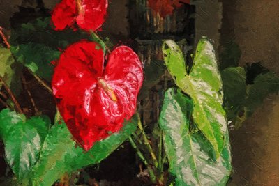 Grote Rode Hartvormige Anthurium door Mano Chandra Dhas