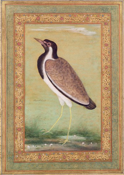 Indische kievit, c.1800 door Mansur