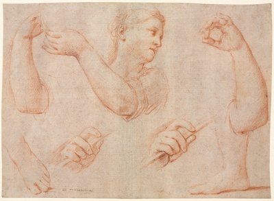 Studie van een Jonge Vrouw die een Tamboerijn Speelt, en Studies van een Arm, Handen en Voeten (Studies voor "Miriam die het Koor van Vrouwen Leidt die Dankzeggen voor de Nederlaag van Farao" door Marcantonio Franceschini