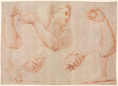 Studie van een Jonge Vrouw die een Tamboerijn Speelt, en Studies van een Arm, Handen en Voeten, ca. 1711 door Marcantonio Franceschini