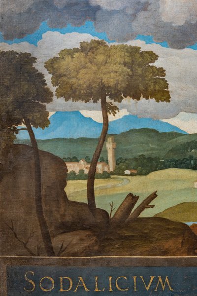 Detail van de stad Vicenza door Marcello Fogolino