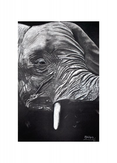  door Marchelle de Kock
