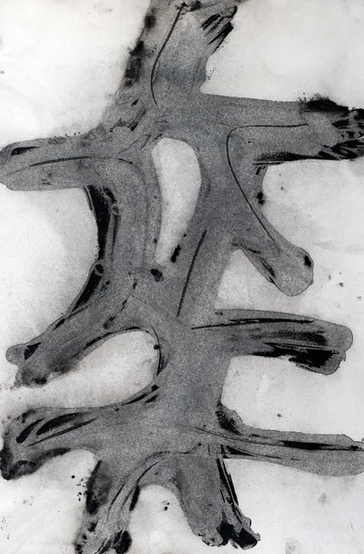 Ramas, 2014 (inkt op papier) door Marco Campedelli