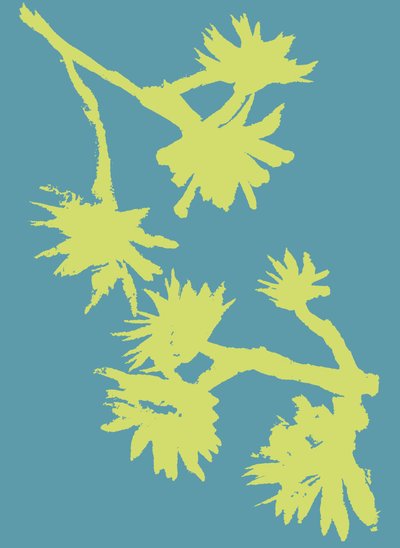 Succulent_2, 2022 (inkt op papier) door Marco Campedelli