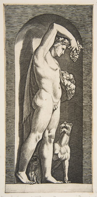 Bacchus staand in een nis met druiven in zijn opgeheven rechterhand, fruit in zijn linkerhand, ca. 1515-27 door Marco Dente
