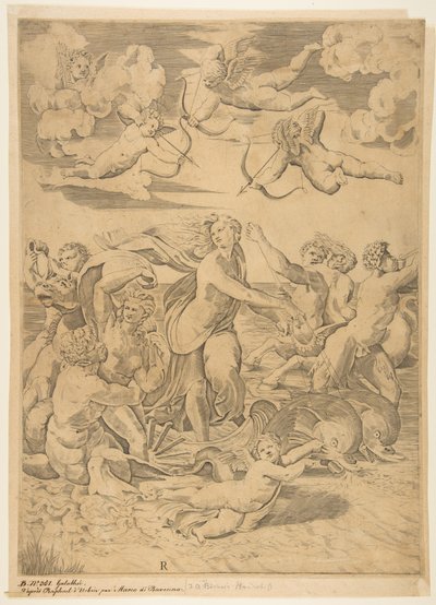 Galatea rijdend in een schelp getrokken door dolfijnen, een cupido eronder door Marco Dente