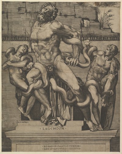Speculum Romanae Magnificentiae: Laocoon door Marco Dente