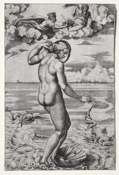 De geboorte van Venus door Marco Dente