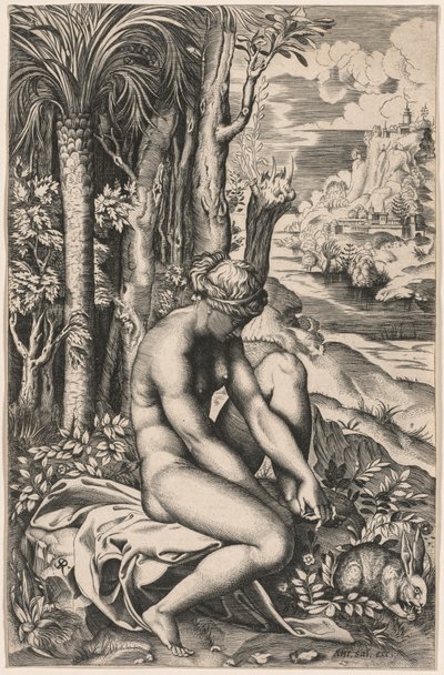 Venus Gewond door een Rozen Doorn door Marco Dente