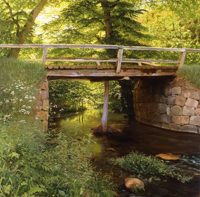 Een bosbeek met een houten brug door Marcus Bech Fritz