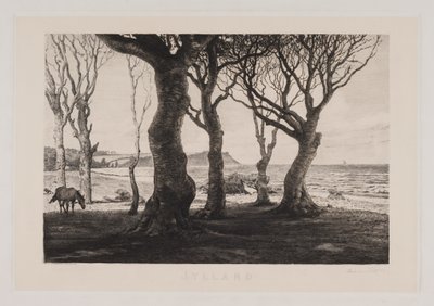 Jutlands landschap door Marcus Bech Fritz