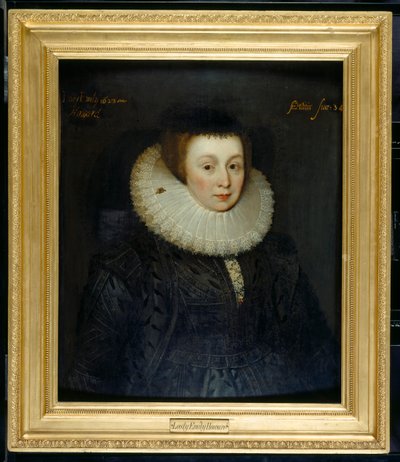 Lady Emily Howard door Marcus Gheeraerts