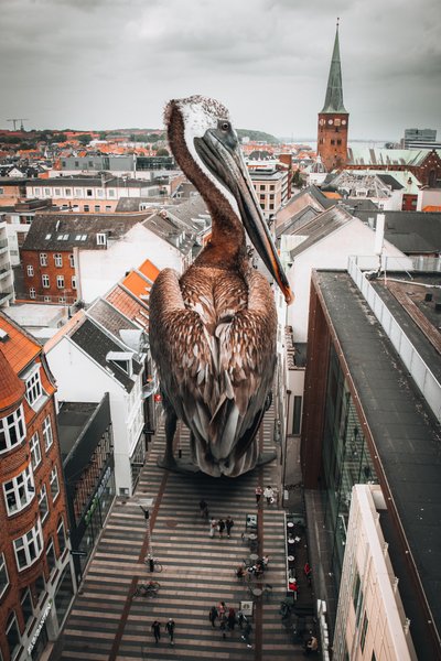  door Marcus Hennen