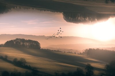  door Marcus Hennen