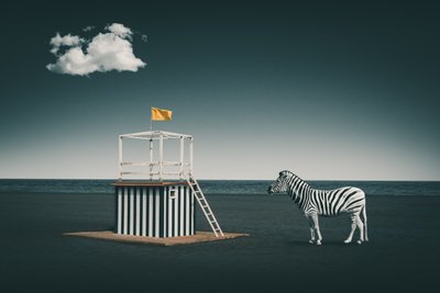 Surreal Beach Zebra door Marcus Hennen