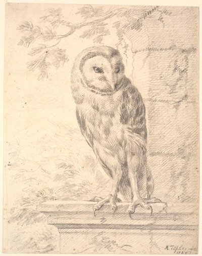 Baron von Stoschs uil door Marcus Tuscher