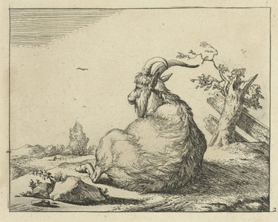 Bok zittend bij omgevallen boom door Marcus de Bye