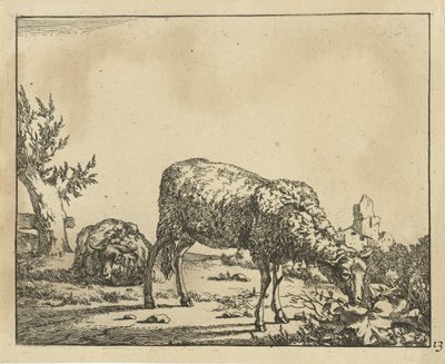 Grazend schaap en liggend schaap bij hek door Marcus de Bye