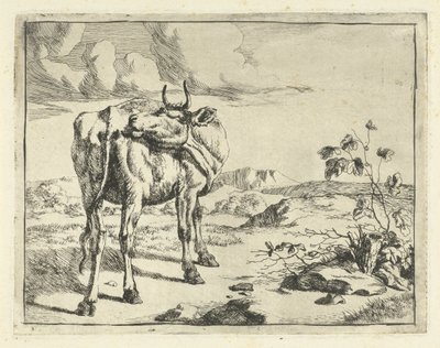 Koe zichzelf likkend door Marcus de Bye