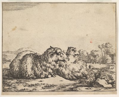 Schapen, uit een set van 16 platen, 1664 door Marcus de Bye