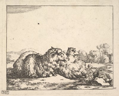 Schapen, uit een set van 16 platen, 1664 door Marcus de Bye