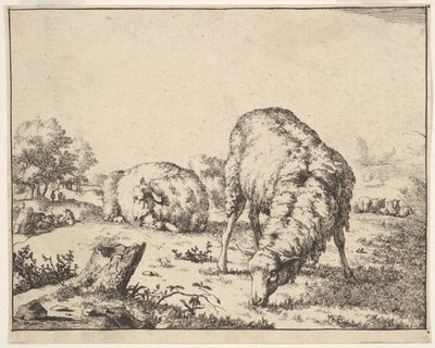 Schapen, uit een set van 16 platen, 1664 door Marcus de Bye