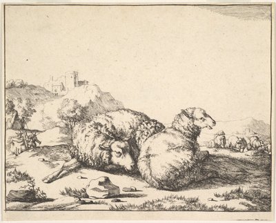 Schapen, uit een set van 16 platen, 1664 door Marcus de Bye