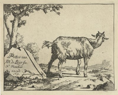 Staande geit van achter gezien door Marcus de Bye