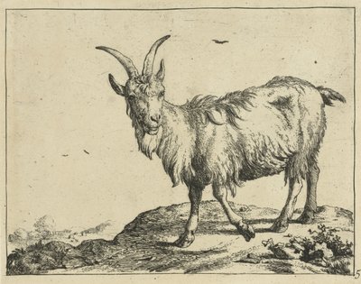 Staande geit van voren door Marcus de Bye