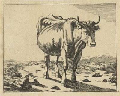 Staande koe, van voren gezien door Marcus de Bye