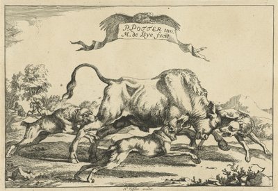 Stier aangevallen door drie jachthonden door Marcus de Bye