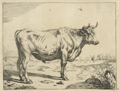 Stier, staand naar rechts, met vogels door Marcus de Bye