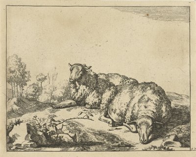 Twee schapen liggend bij bramentak door Marcus de Bye
