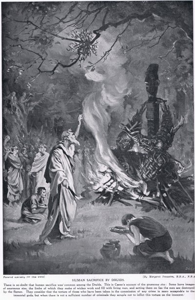 Mensenoffers door Druïden, illustratie uit 