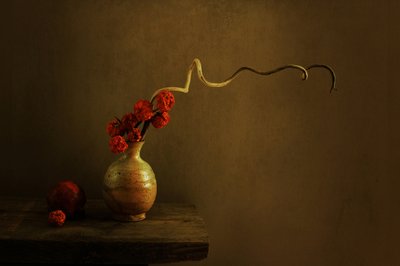 Donker botanisch stilleven door Margaret Halaby