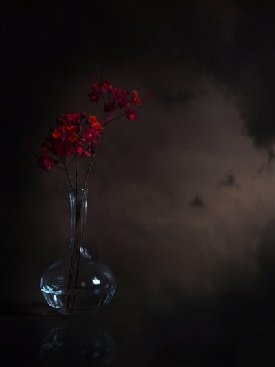 Stemmige rode bloemen door Margaret Halaby