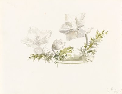 Studie van een bloemstuk door Margaret Louisa Herschel