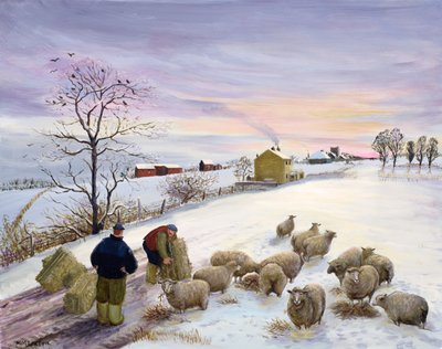 Schapen voeren in de winter door Margaret Loxton