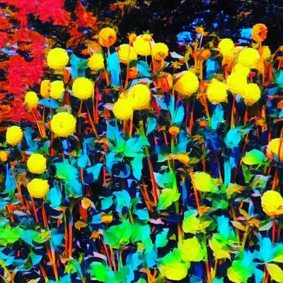 Blauwe Vlinder door Margareta Uliarte